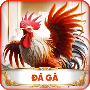 Đá Gà H19 – Những Trận Đấu Đỉnh Cao Dành Cho Người Đam Mê Chọi Kê